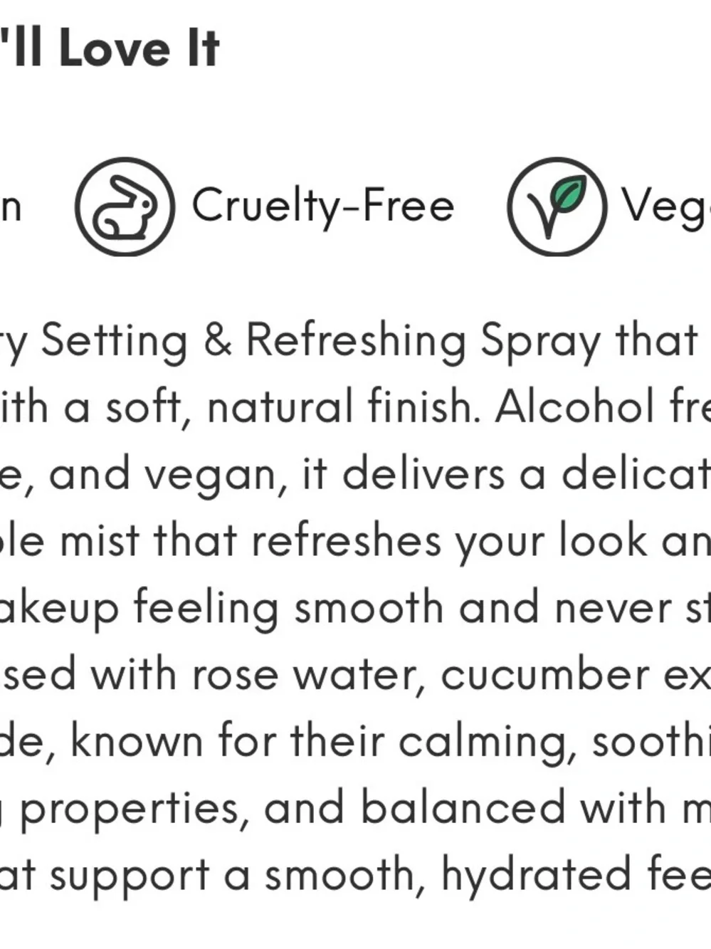 Rosehipity Setting & Refreshing Spray — Pink